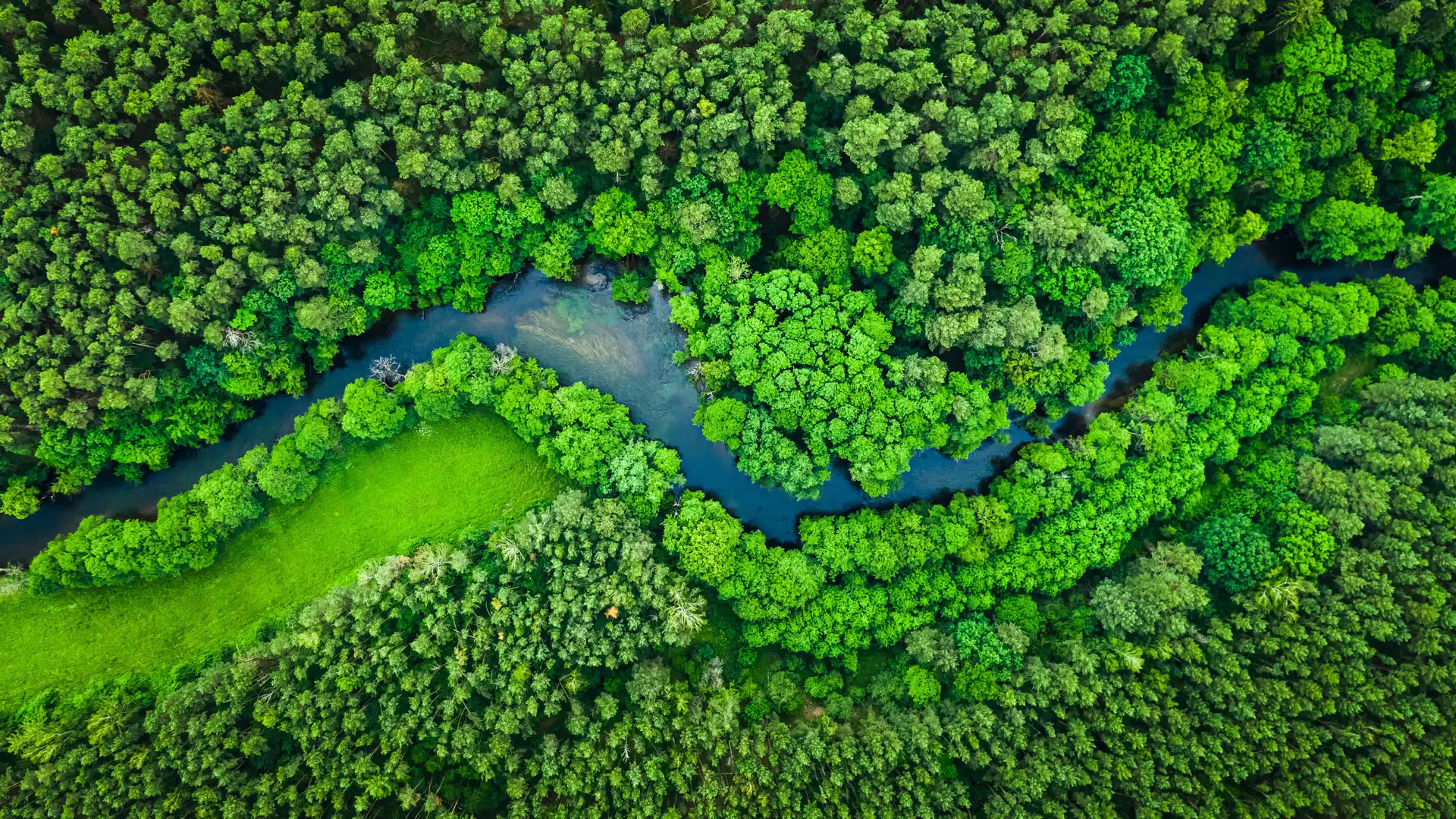 abeko, société engagée pour l'environnement
