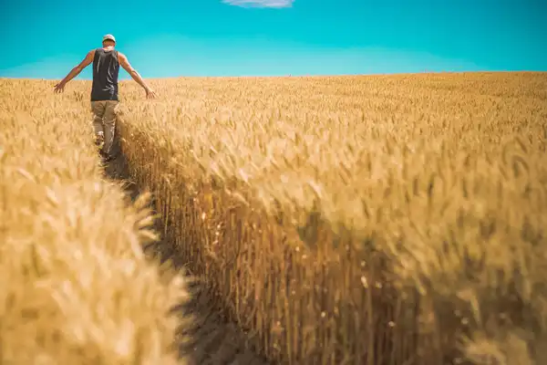 Citerne souple abeko pour le stockage d'engrais liquides azotés ou/et azotés soufrés