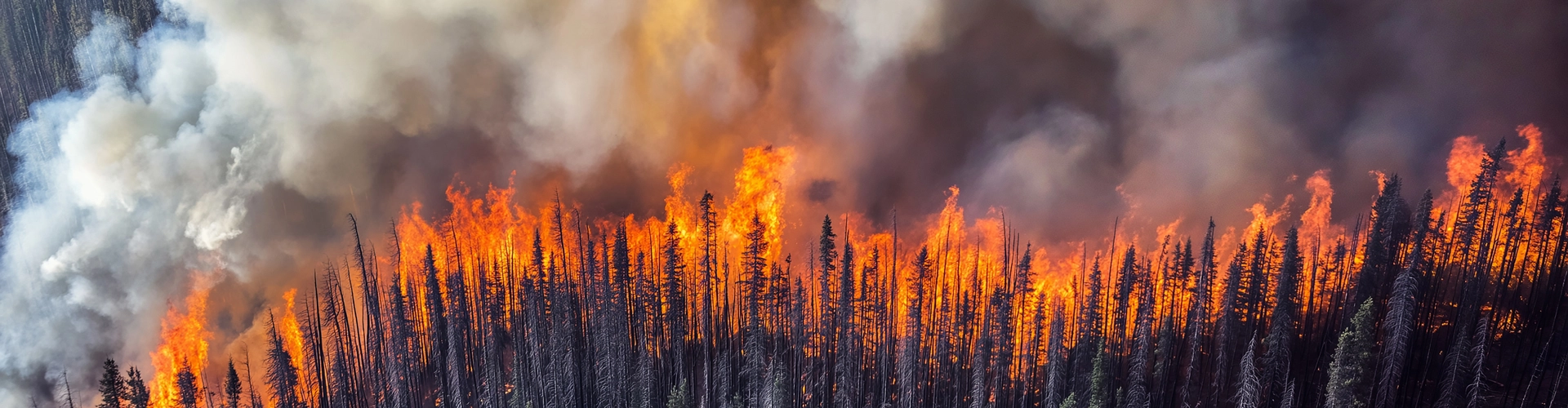 abeko concepteur et fabricant vendéen de citernes souples, cuves souples et réservoirs en acier galvanisé pour la sécurité incendie